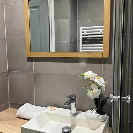 Practical Near Le Louvre