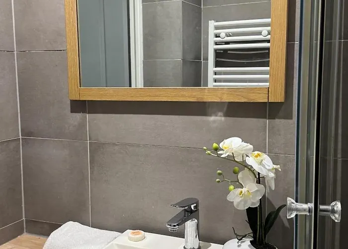 Practical Near Le Louvre